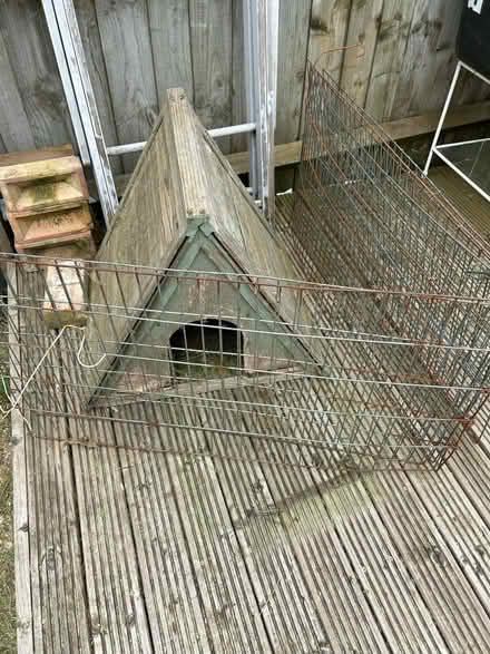 Photo of free Complete Guinea pig set up (HP2) #2