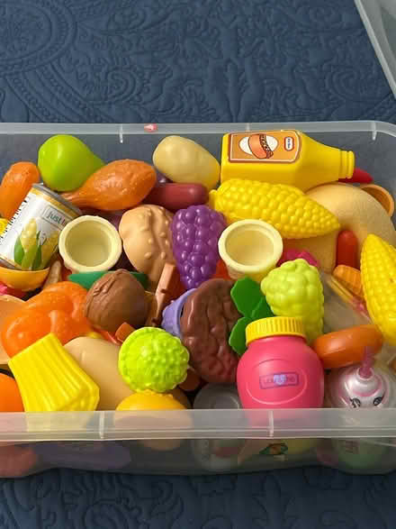 Photo of free Food toys (Waters Landing) #1