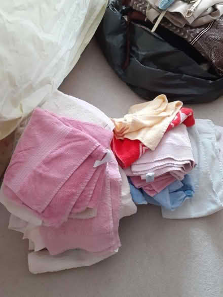 Photo of free Pet towels (Horsham) #1