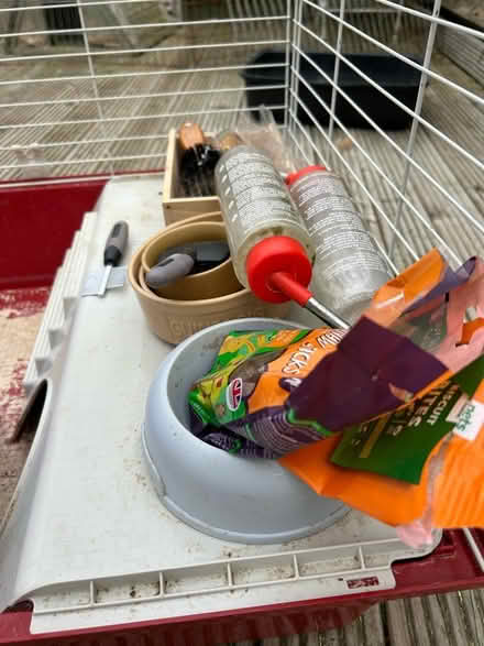 Photo of free Complete Guinea pig set up (HP2) #4