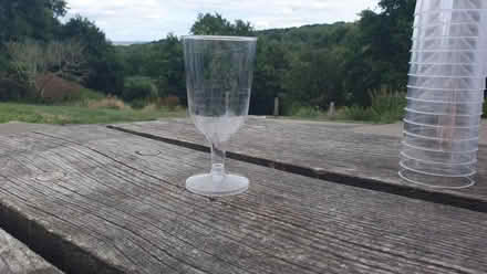 Photo of free Disposable wine glasses (Lower Green TN2) #1