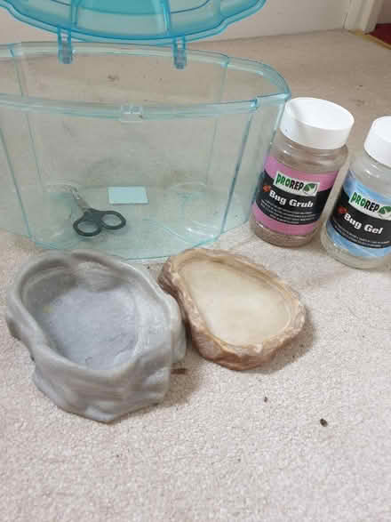 Photo of free Reptile/insect bits (PO19) #2