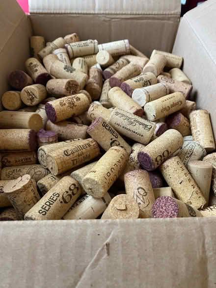 Photo of free Natural wine corks (Dempster and Edens) #1