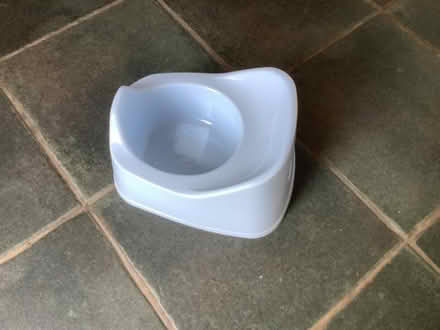 Photo of free Child’s potty (Bexhill TN39) #1