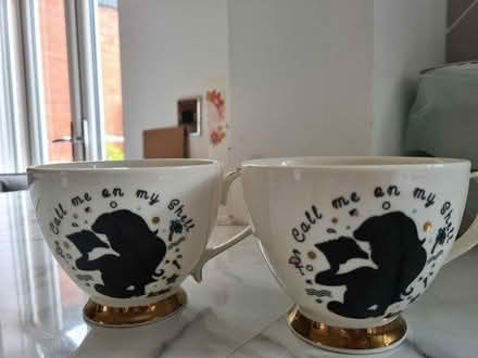 Photo of free Two Disney Ariel mugs (Flixton) #1