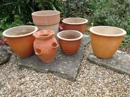 Photo of free 6 Garden Pots (CT13) #1