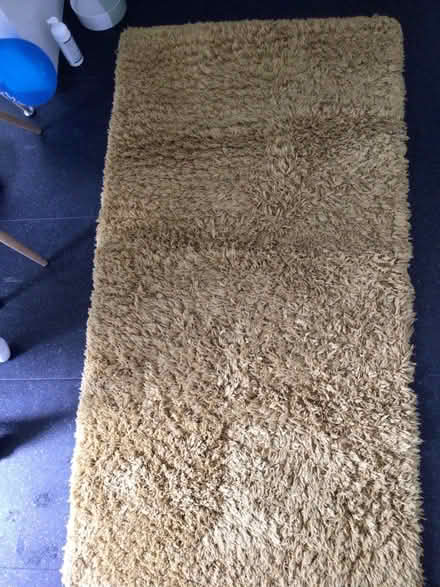 Photo of free Rugs (Atherstone) #1