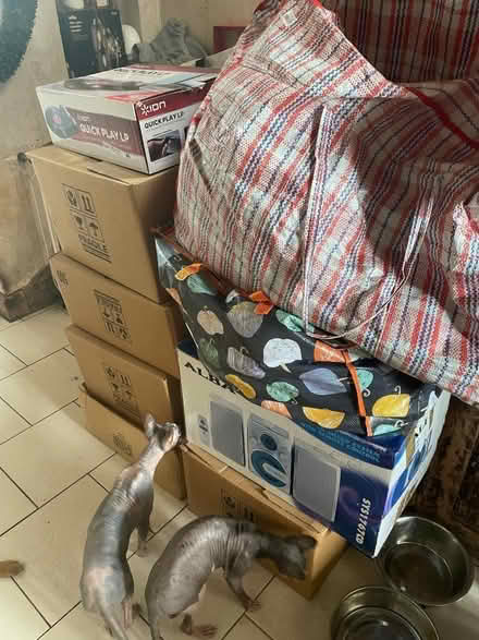 Photo of free Bootsale items (Orpington BR5) #1