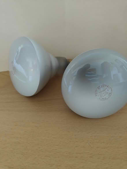 Photo of free Two 50 watt incandescent floods (Magnuson) #1
