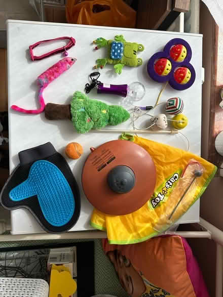 Photo of free Selection of cat accessories (South Norwood) #1
