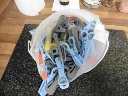 Photo of free Garden Bundle. (Bedford MK40) #3