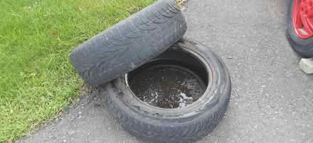 Photo of free Stuff on curb (Louis Lane Gloucester) #2