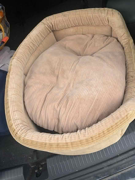 Photo of free Dog bed (Sutton SM1) #2