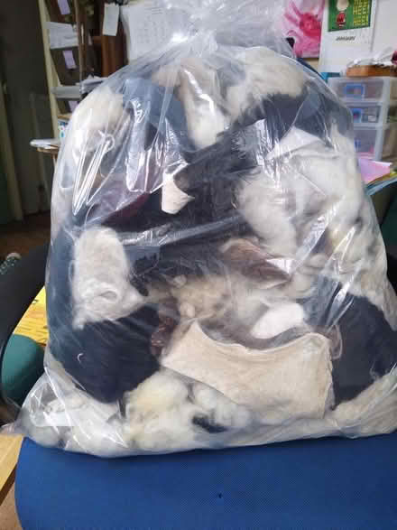 Photo of free Scraps of sheepskin (Freehold, Lancaster LA1) #1