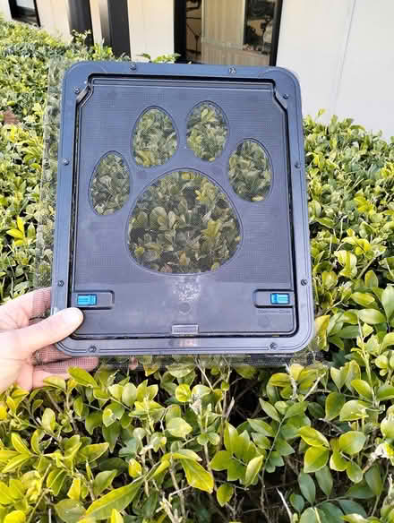 Photo of free Small dog door (Rostrevor) #1