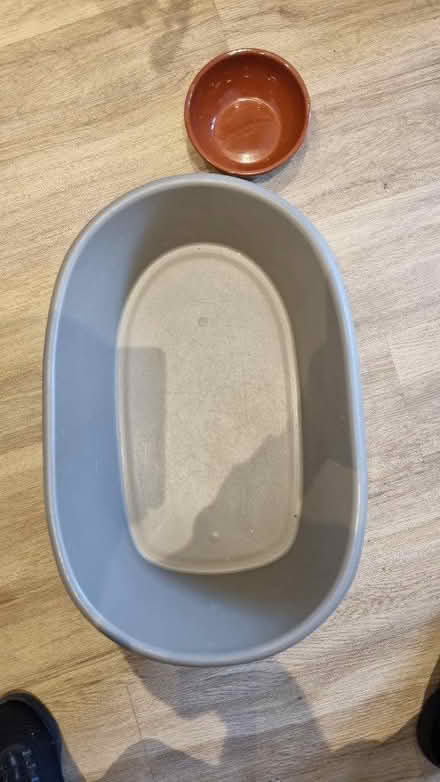 Photo of free Cat littler box and bowl (Levenshulme M19) #3