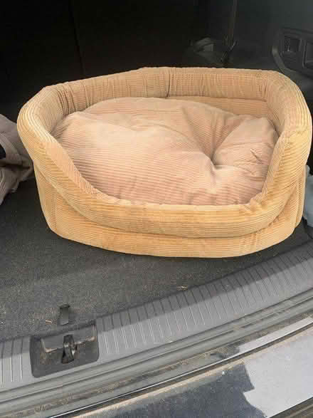 Photo of free Dog bed (Sutton SM1) #1