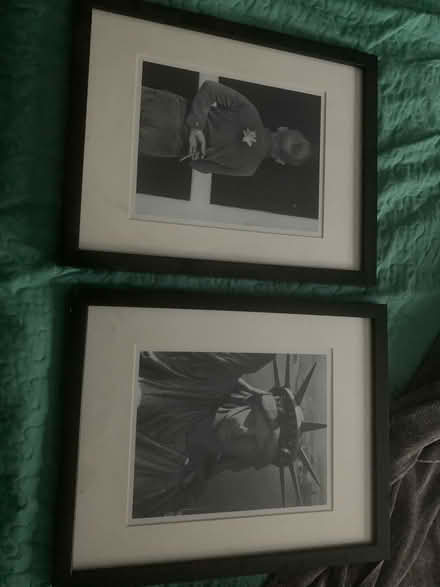Photo of free Photos and decorative plate (Old Town Herndon) #2