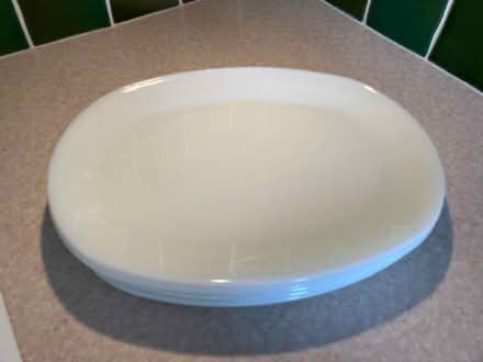 Photo of free Dinner plates (Purley on Thames RG31) #1
