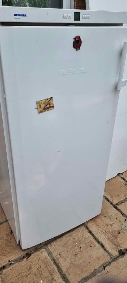 Photo of free Fridge freestanding (Benfleet SS7) #2