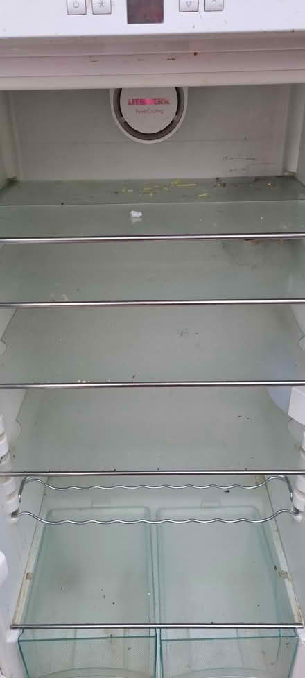 Photo of free Fridge freestanding (Benfleet SS7) #1