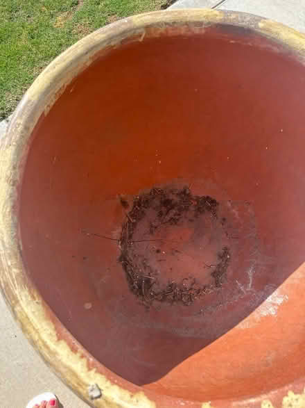 Photo of free Decorative Large clay pot (Yorba Linda) #2