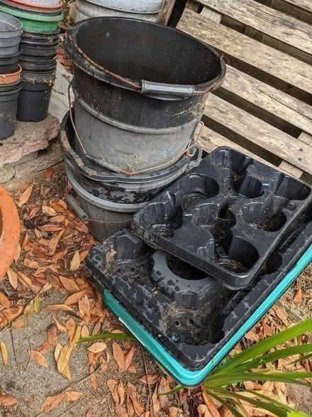 Photo of free Plastic plant pots, etc (BN3) #2