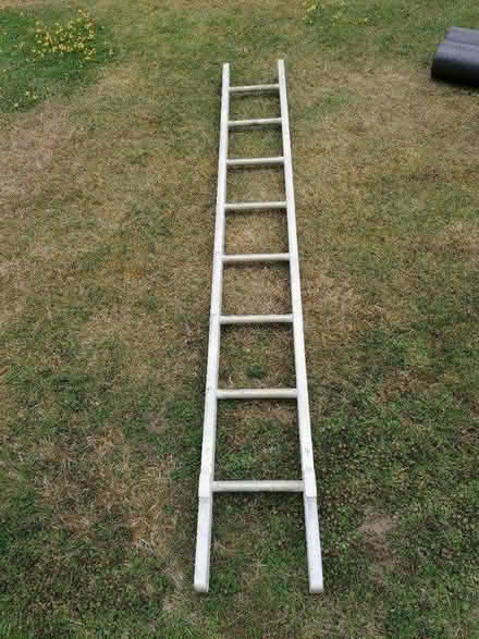 Photo of free Ladder short (Tonbridge) #1