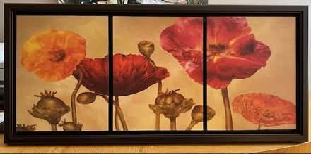 Photo of free Poppies (Financial District 10005) #1