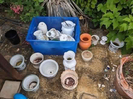 Photo of free Plastic plant pots, etc (BN3) #4
