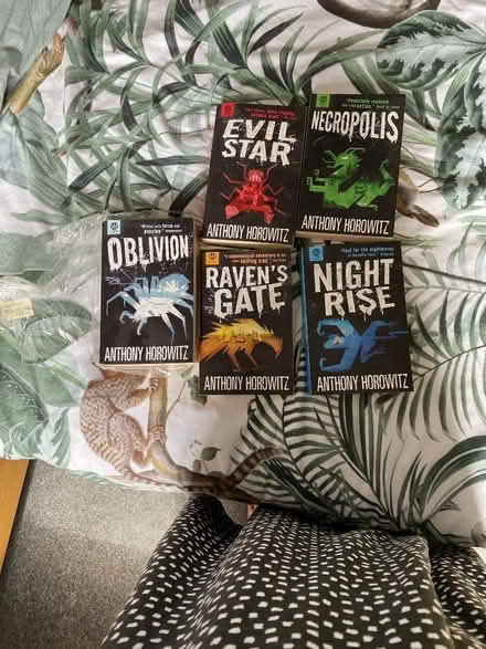 Photo of free Anthony Horowitz books (Buckley Hill L30) #1