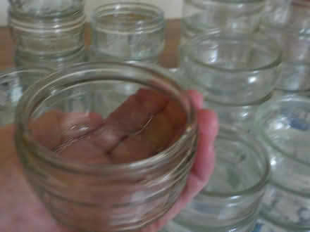 Photo of free ramekins (Seedhill PA1) #2