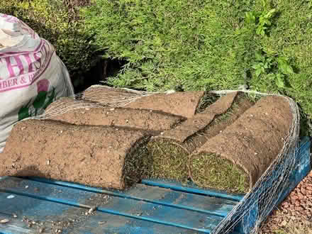 Photo of free About 4square metres surplus turf (South Queensferry EH30) #1