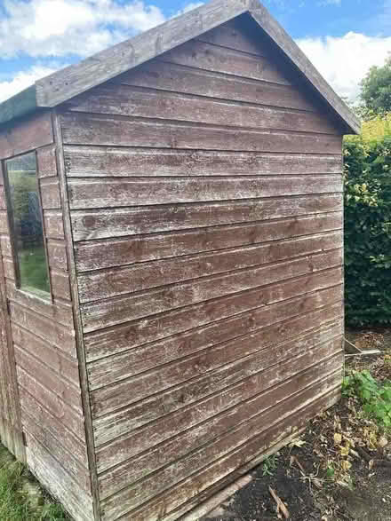 Photo of free Garden shed (Lodge Moor S10) #2