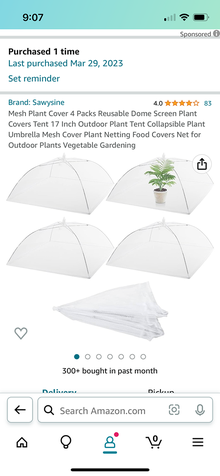 Photo of free New outdoor table tents/plants-food (Chevy Chase DC) #1