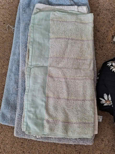 Photo of free Towels (EH7) #1