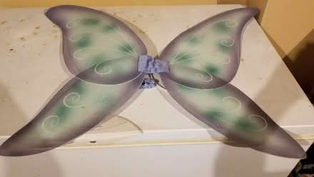 Photo of free Fairy wings (Farmington @ 11 Mile) #1