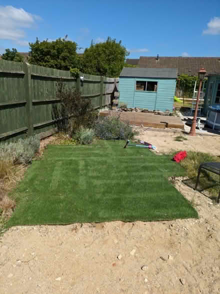 Photo of free Artificial grass (RG18) #2