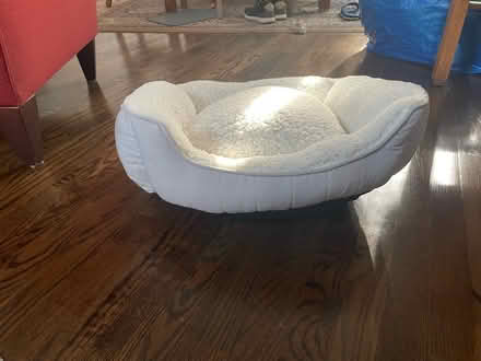 Photo of free Pet Bed (11218 Windsor Terr / Kensingto) #1