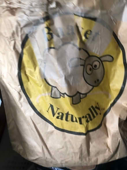 Photo of free Single wool duvet (Skerton) #1