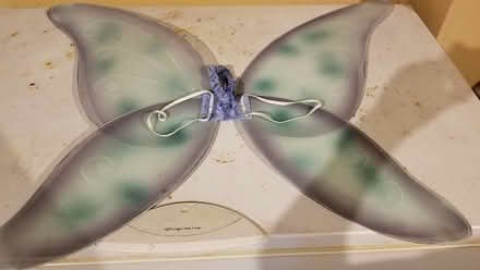 Photo of free Fairy wings (Farmington @ 11 Mile) #2