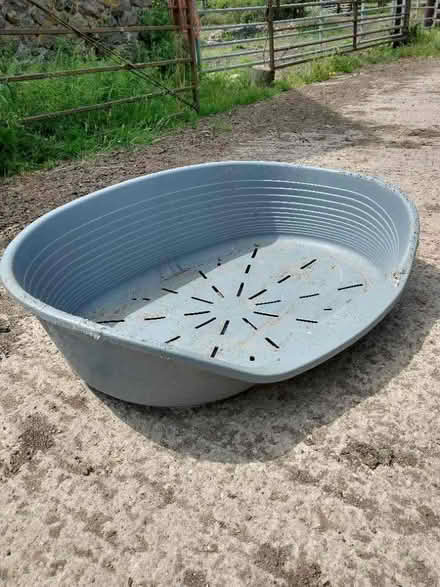 Photo of free Large plastic dogs bed (Castlemorton Common WR13) #1
