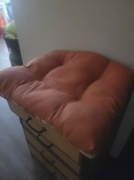 Photo of free Seat cushion (Worldgate, Herndon) #1