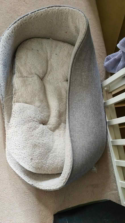 Photo of free Large dog bed (Tankersley S75) #1