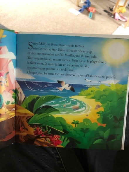 Photo of free French book for kids (Orpington BR6) #2