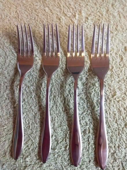 Photo of free Forks (Roehampton SW15) #1