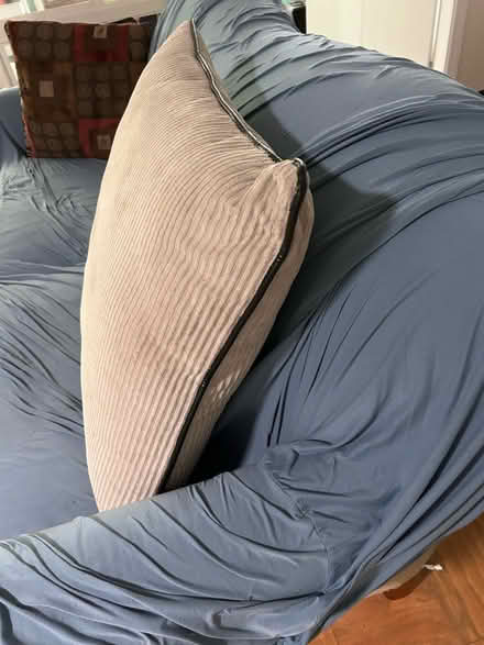 Photo of free Large couch pillow (St. Petersburg, florida) #2