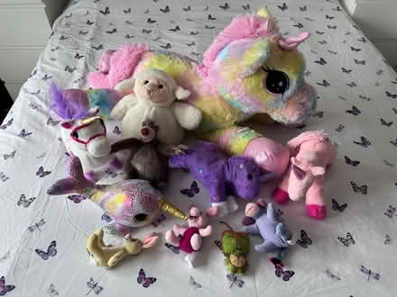 Photo of free Cuddly Toys (Waterlooville) #1