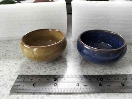 Photo of free Japanese succulent pots (CH5. Connahs Quay) #3