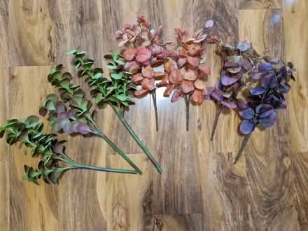 Photo of free Artificial foliage stems (Roslin, Midlothian EH25) #1